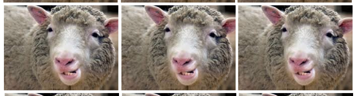 Cómo Clonar clientes con Facebook Ads: los ‘lookalikes’