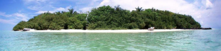 3 estrategias para sobrevivir en Internet