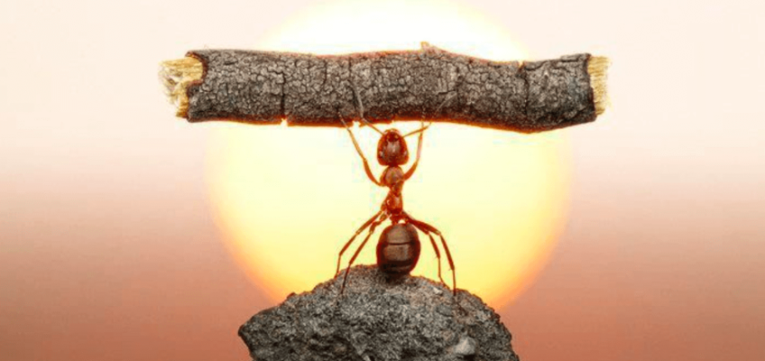 Estrategias Digitales Avanzadas para PYMES (1 de 2)